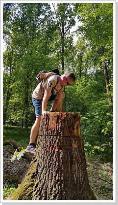 0029_20180510_120217 (Kopie).jpg